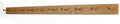 Solid Oak Shaker Peg Rack Made in The USA - Natural Stain 58 x 3.5 Inches with 10 Pegs by PEG+AND+RAIL
