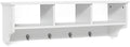 Casart Hanging Shelf Wall Mounted Storage Cabinets W/Hooks for Bedroom, Living Room and Entryway (White) by Unknown