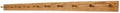 Solid Oak Shaker Peg Rack Made in The USA - Golden Oak Stain Stain 58 x 3.5 Inches with 10 Pegs by PEG+AND+RAIL