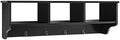 Casart Hanging Shelf Wall Mounted Storage Cabinets W/Hooks for Bedroom, Living Room and Entryway (Black) by Unknown
