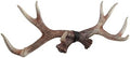 Zeckos 17 inch Lifelike Deer Antler Rack Decorative Hunting Cabin Natural Wall Hook by Zeckos
