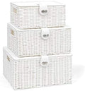 ARPAN Set of 3 Resin Woven Utility Storage Basket Box With Lid & Lock (White) by ARPAN