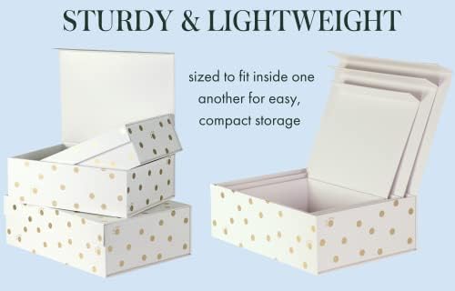 kate spade new york Set of 3 Decorative Storage Boxes, Gold Dot with Script - Image 4