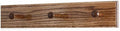 Solid Oak Shaker Peg Rack Made in The USA - Chestnut Stain 18 x 3.5 Inches with 3 Pegs by PEG+AND+RAIL