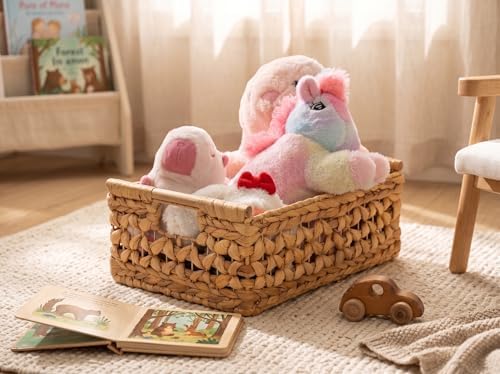 NAYA Set of 2L (16.5"&15") Water Hyacinth Wicker Shelf Storage Baskets - Image 3