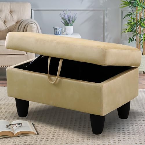 28.5'' Ottoman with Storage, Flannel Ottoman Foot Rest for Living Room Upholstered Footstool, Perfect Storage Ottoman Bench Bag Floor Chair for Bedroom or Entryway, Beige by SumKeaVideoSewerCameraSystem