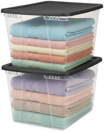 HOMZ 2-Pack Snaplock, Large Clear Plastic Storage Organizer Bins w/Lids, 56 Quart, Gray - Stackable Container Boxes for Bedroom, Bathroom, Garage, and Office Organization by Homz