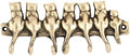 Indian Shelf Brass Gold Wall Hooks for Coats, Bags & Keys -2 Piece by IndianShelf