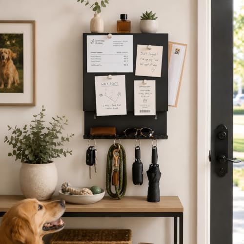 Wall Mounted Key Holder and Mail Organizer with 11 Hooks and 4 Pins,Black by zizouoe