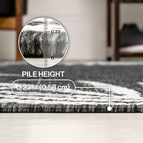 JONATHAN Y Tuscan Sun Polypropylene Indoor Outdoor Area Rug, Dark Gray and Ivory Isla Coastal Cottage Palm Frond Border Design, 2'11" x 4'11", Durable Low-Pile for Patio or Entryway TSN207D-3 - Image 6