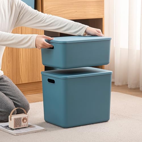 Plastic Storage Bins with lids,Storage Baskets,Container with handle,Storage Organizer Bins for Shelves,Office,Bedrooms,Closets, Cabinets(Blue, 3M) - Image 6