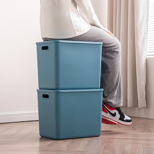 Plastic Storage Bins with lids,Storage Baskets,Container with handle,Storage Organizer Bins for Shelves,Office,Bedrooms,Closets, Cabinets(Blue, 4XL) - Image 4