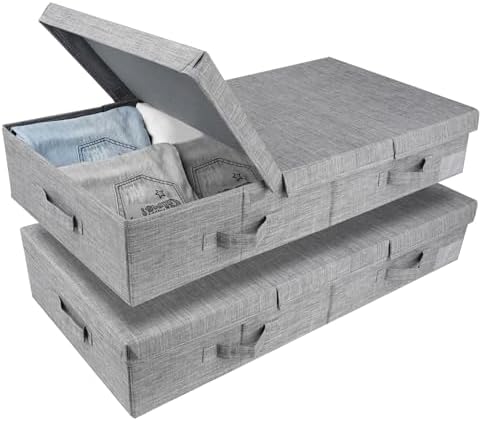 DAYARD Underbed Storage Container Bins with Lids, Under Bed Storage Organizer with Sturdy Handles Sidewalls Bottom, Foldable Clothes Bag (Set of 2) Large, Grey by DAYARD