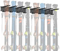 WALMANN Garage Storage Organization Wall Ski Rack 8 Pairs of Skis by WALMANN