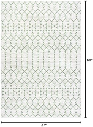 Eyely Moroccan Textured Weave Area Rug 3X5 Green/Ivory, Indoor Outdoor Rug - Image 2