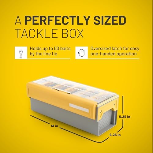 Edge Frog Box - Image 5