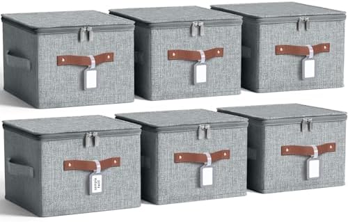 6 Pack Fabric Closet Storage Bins with Lids, 10×8×7 in, Gray by Unknown