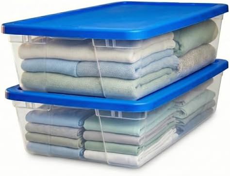 HOMZ 2-Pack Snaplock, Large Clear Plastic Storage Organizer Bins w/Lids, 41 Quart, Blue - Stackable Container Boxes for Bedroom, Bathroom, Garage, and Office Organization by Homz