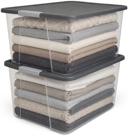 HOMZ Clear Plastic Storage Bin with Secure Latching Gray Lid, 64 Qt, 2 Pack by Homz