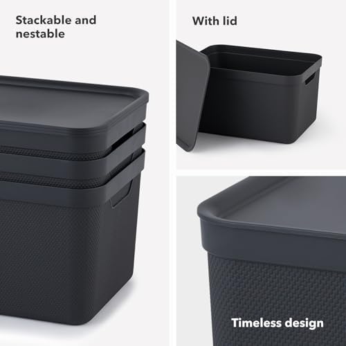 Rotho Jive Set of 3 Storage Box 5l with Lid, Recycled Plastic, Green - Image 5