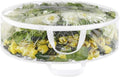 Whitmor Clear Wreath Storage Container with Tear Resistant PE Material,30" Christmas Storage Bag with Reinforced Handle & Zipper for Artificial Wreath,Garland & Holiday Decor Organization,(Pack of 6) by Whitmor