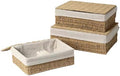 Large Storage Baskets with Lid Set of 3, Woven Bins with Liner by Rattanzenith