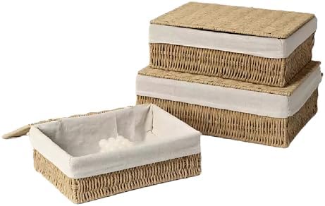 Large Storage Baskets with Lid Set of 3, Woven Bins with Liner by Rattanzenith