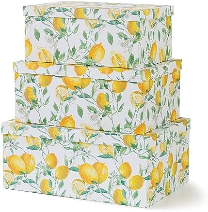 Soul & Lane - Zesty Lemons Decorative Storage Boxes with Lids, Set of 3 by SoulLane