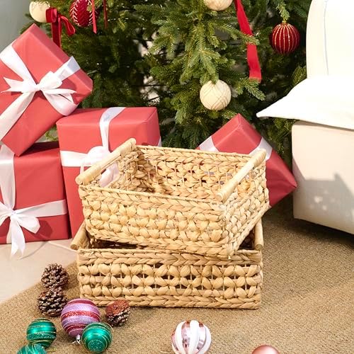 NAYA Set of 2L (16.5"&15") Water Hyacinth Wicker Shelf Storage Baskets - Image 4