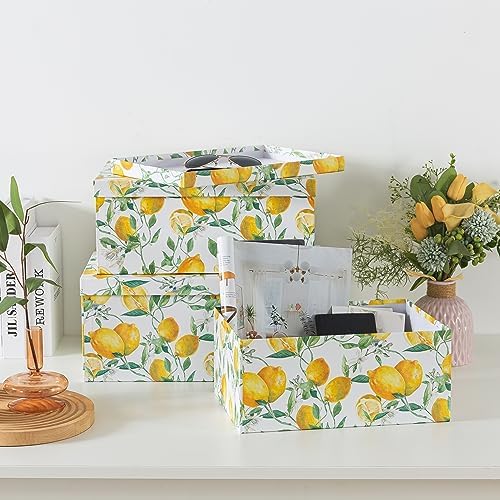 Soul & Lane - Zesty Lemons Decorative Storage Boxes with Lids, Set of 3 - Image 7