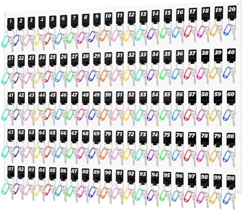 Beeveer Acrylic Key Holder Board with 100 Hooks, Wall Mount Organizer,Clear by Beeveer