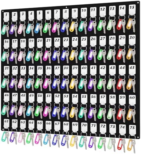 Beeveer Acrylic Key Holder Board with 75 Hooks, Wall Mount Organizer, Black by Beeveer