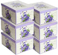 Lavatelli – Set of 6 Violet Scented Decorative Wardrobe Organiser Boxes by Lavatelli