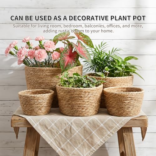 8pc Round Storage Baskets, Handwoven Natural Reed Grass, Structured - Image 2