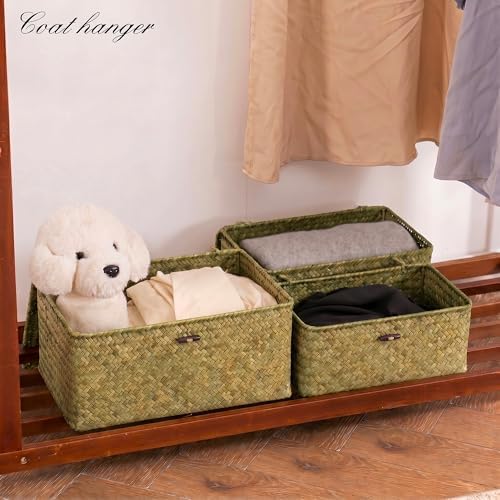 Nonam Seagrass Storage Basket with Lid, Set of 3, Dark Moss Green - Image 5