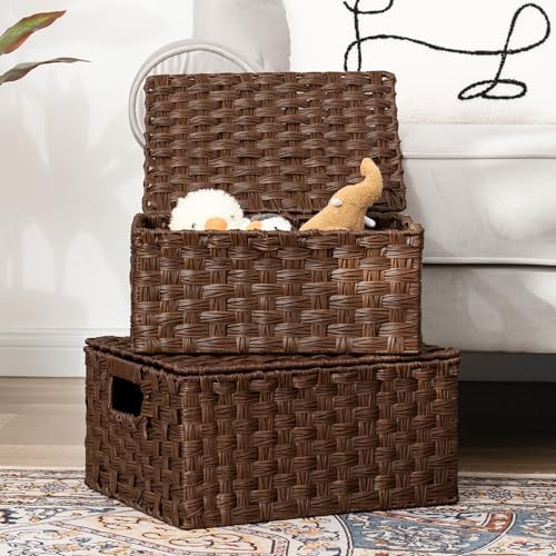GRANNY SAYS Wicker Basket with Lid, Decorative Storage Baskets for Shelves - Image 2