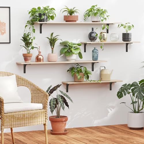 DINZI LVJ Long Wall Shelves, 31.5Inch Wooden Wall Mounted Shelves, Set of 2 - Image 6