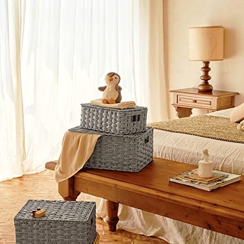 GRANNY SAYS Wicker Basket with Lid, Wicker Storage Baskets for Shelves - Image 3