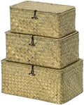 Nonam Seagrass Storage Basket with Lid, Set of 3, Dark Moss Green by Home