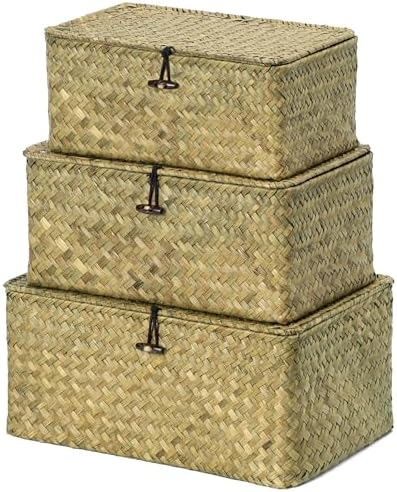Nonam Seagrass Storage Basket with Lid, Set of 3, Dark Moss Green by Home