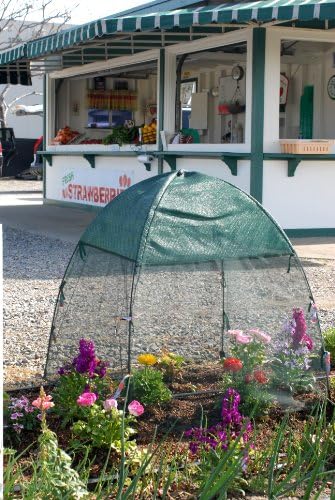 Synthetic Framed Bug and Insect Shade Cover Size: 28" - Image 2