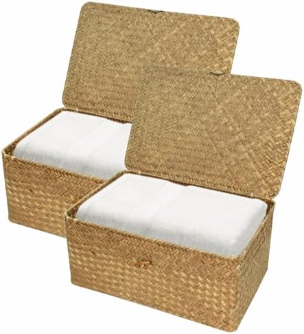 Wicker Storage Baskets with Lid, Set of 2 Handwoven Seagrass Household Organizer Basket Bins Decorative Boxes Storage Containers for Shelves Drawers Desk Closet Pantry Playroom Classroom by Unknown