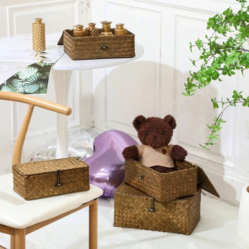 Woanger Set of 4 Wicker Baskets with Lids, Retro Color - Image 3