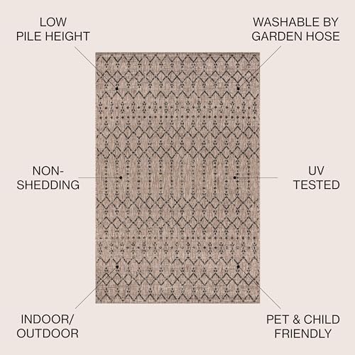 Eyely Moroccan Woven Area Rug 8X10 Natural/Black, Indoor Outdoor Rug - Image 4