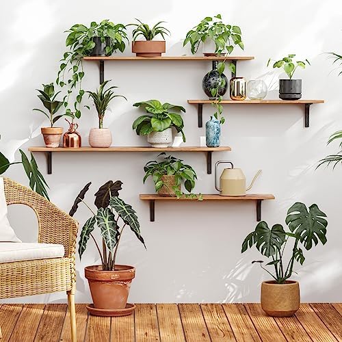 DINZI LVJ Long Wall Shelves, 47.3Inch Wooden Wall Mounted Shelves, Set of 2 - Image 2