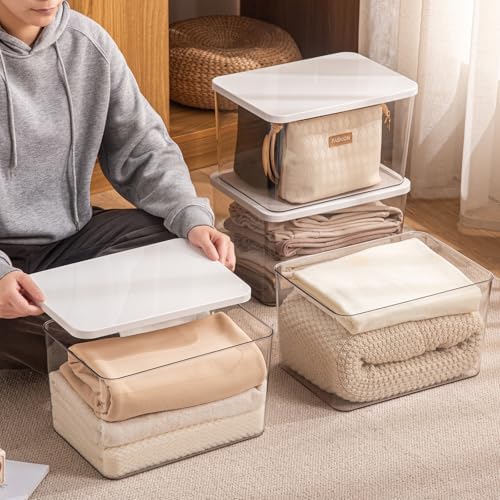 4-Piece Set,Plastic Storage Bin with Lid,Large Storage Containers,Stackable Lidded Storage Boxes for Cabinets, Clothes, Toys, Books (clear 4XL(with wihte lid)) by sgoostood