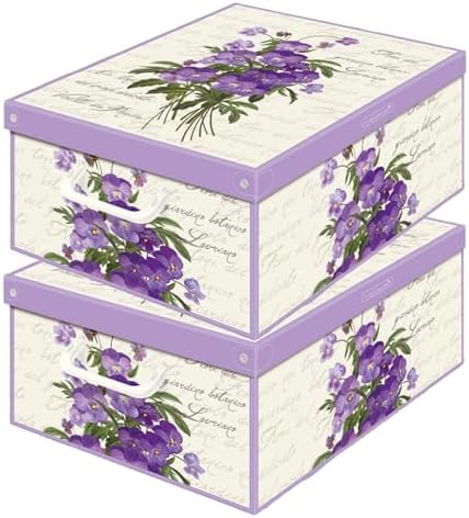 Set of 2 Storage Boxes with Lids - Large Cardboard Clothes Boxes 32 x 42 x 17.5 cm - Robust, Easy to Assemble, with Carry Handles - Perfect for Wardrobe & Season Change Veichen by Lavatelli