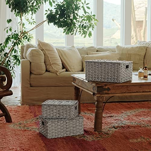 GRANNY SAYS Wicker Basket with Lid, Wicker Storage Baskets for Shelves - Image 2