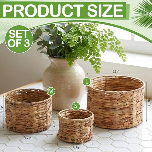 Newtay Set of 3 Scalloped Wicker Storage Baskets with Lid Round Rattan Woven Basket 11'' 8.7'' 6.3'' Natural Water Hyacinth Decorative Boxes for Organizing Nursery Home Closet Shelf Decors, 3 Sizes - Image 3