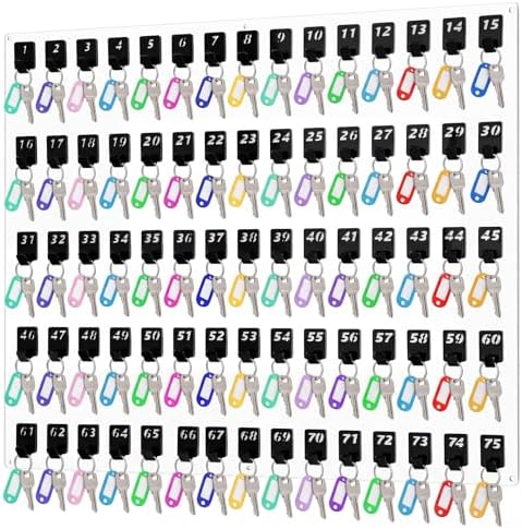 Beeveer Acrylic Key Holder Board with 75 Hooks, Wall Mount Organizer, Clear by Beeveer